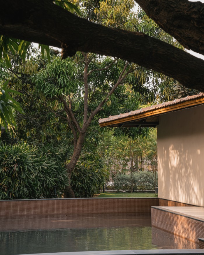 Shaded by greens, this pool of water exudes stillness; Photography by Ishita Batra