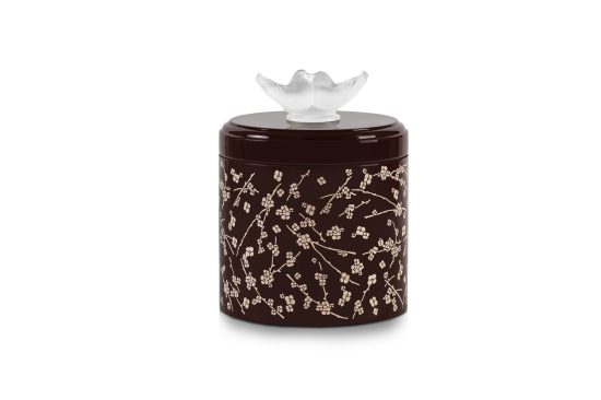 10725500-GS-Boxe-Fleurs-de-Cerisier-Shadow-HR