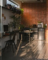 The morning light casts striking shadows across the office; Photography by Vaibhav Passi