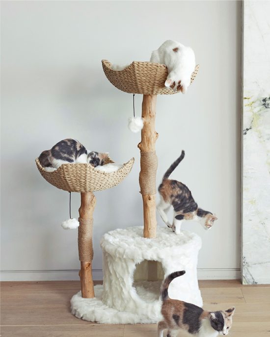 V5_petaccessories